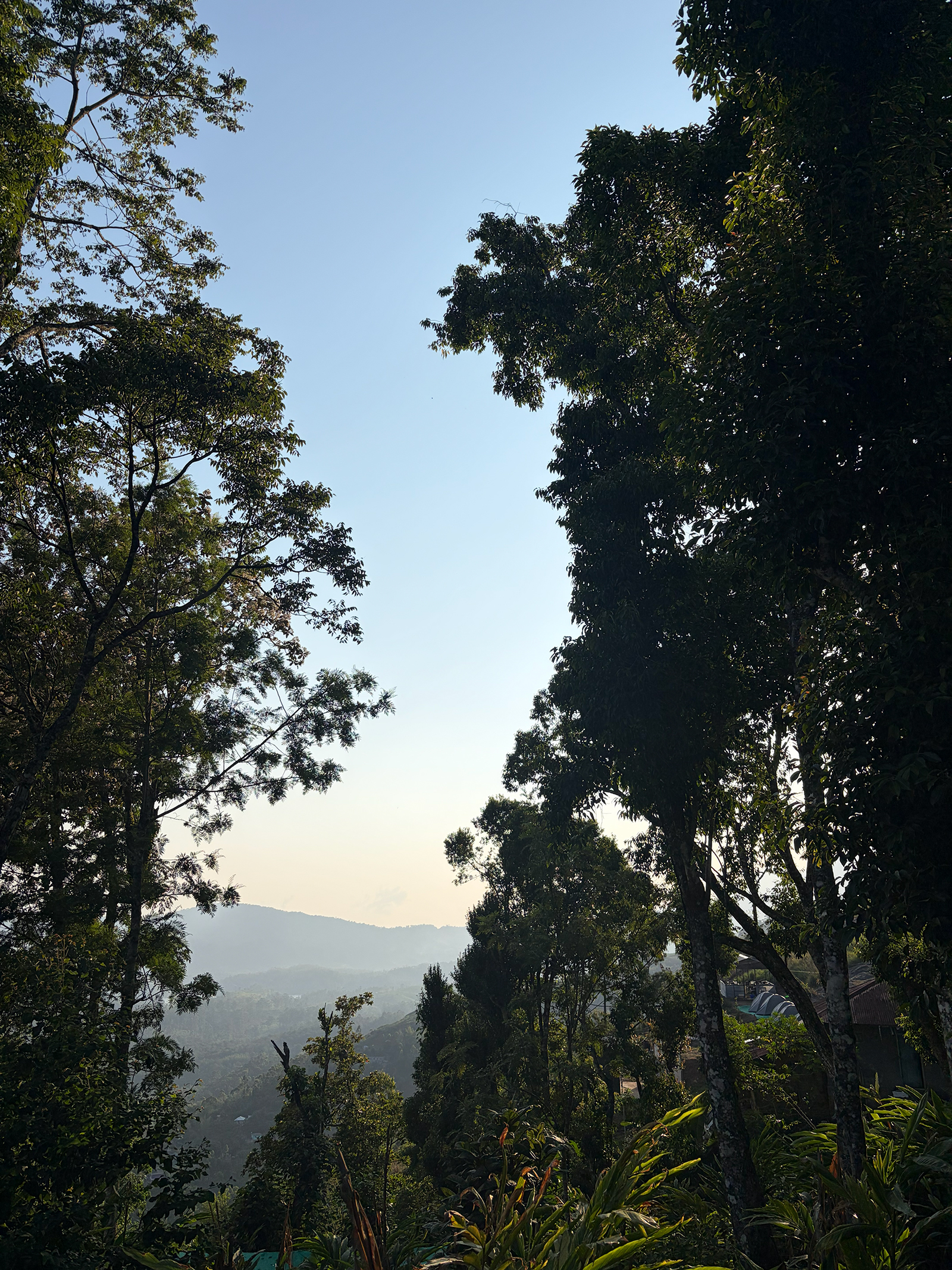 Mountains
